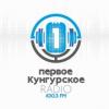 Первое Кунгурское радио (100.3 FM) Россия - Кунгур
