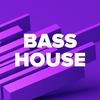 Bass House (DFM) (Россия - Москва)