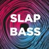 Slap Bass (DFM) (Россия - Москва)