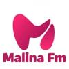 Малина FM (Россия - Каменск-Уральский)