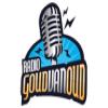 Radio Goud van Oud Нидерланды - Роттердам