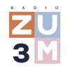 Radio Zum 3 Молдова - Кишинев