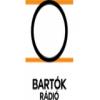 Bartok Radio 105.3 FM (Венгрия - Будапешт)