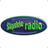 Slaskie Radio (Польша - Плоцк)