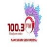 Радио Naxcivanin Sesi (100.3 FM) Азербайджан - Нахичевань