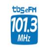 TBS eFM 101.3 FM (Корея - Сеул)