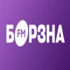 Радио Борзна (99.2 FM) Украина - Борзна