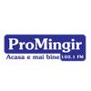 Radio Pro Mingir (105.1 FM) Молдова - Минджир