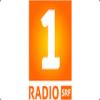 SRF 1 Radio (Швейцария - Цюрих)