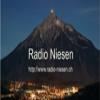Radio Niesen Швейцария - Тун