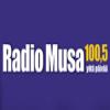 Radio Musa 100.5 FM (Финляндия - Тампере)