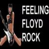 Радио Feeling Floyd Rock Франция - Плоемер