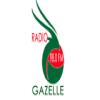 Radio Gazelle (98.0 FM) Франция - Марсель