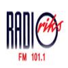 Radio Riks Oslo 101.1 FM (Норвегия - Осло)