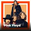 Pink Floyd - 101.ru (Россия - Москва)