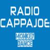 Radio Cappajoe - Monkey Dance Украина - Киев