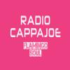 Radio Cappajoe - Flamingo Soul Украина - Киев