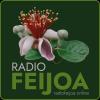 Радио Фейхоа - Radio Feijoa (Россия - Москва)